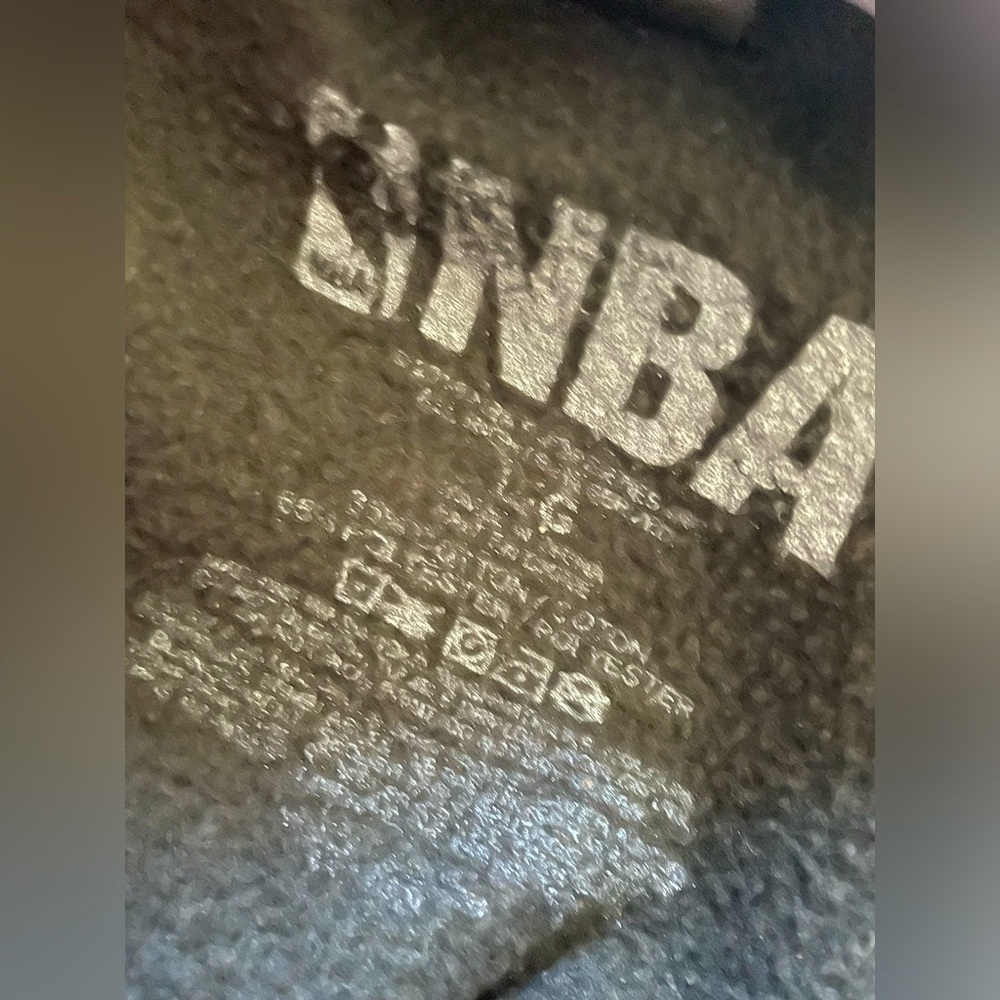Women’s Vintage Toronto Raptors Hoodie ( Large ) - Picture 2 of 3